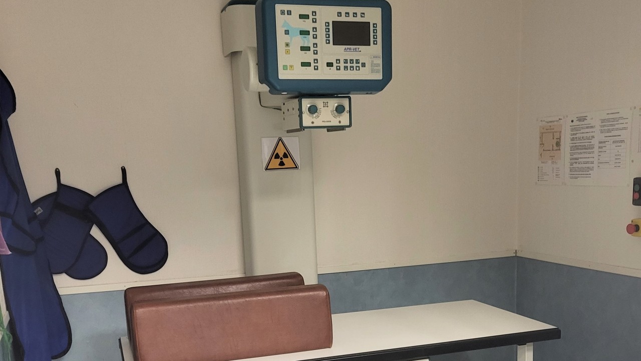 Radiologie